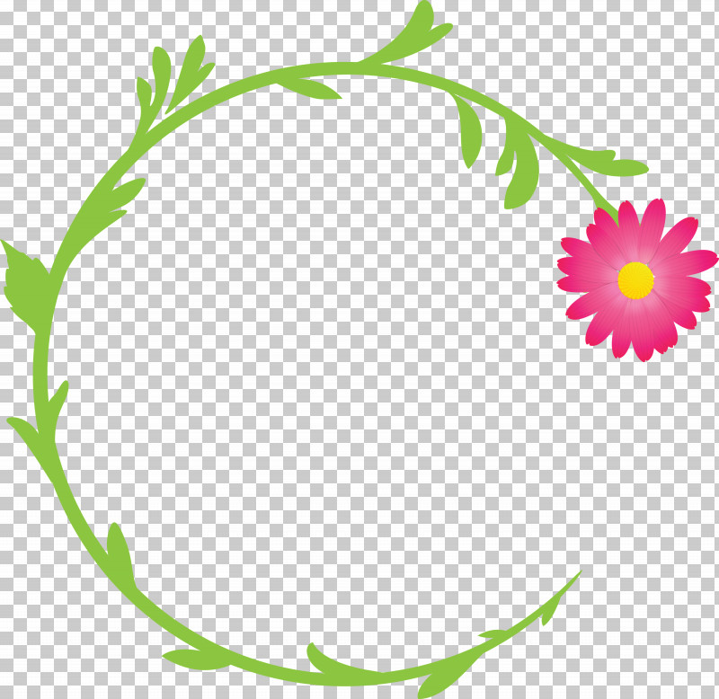 Decoration Frame Floral Frame Flower Frame PNG, Clipart, Camomile, Chamomile, Daisy Family, Decoration Frame, Floral Frame Free PNG Download