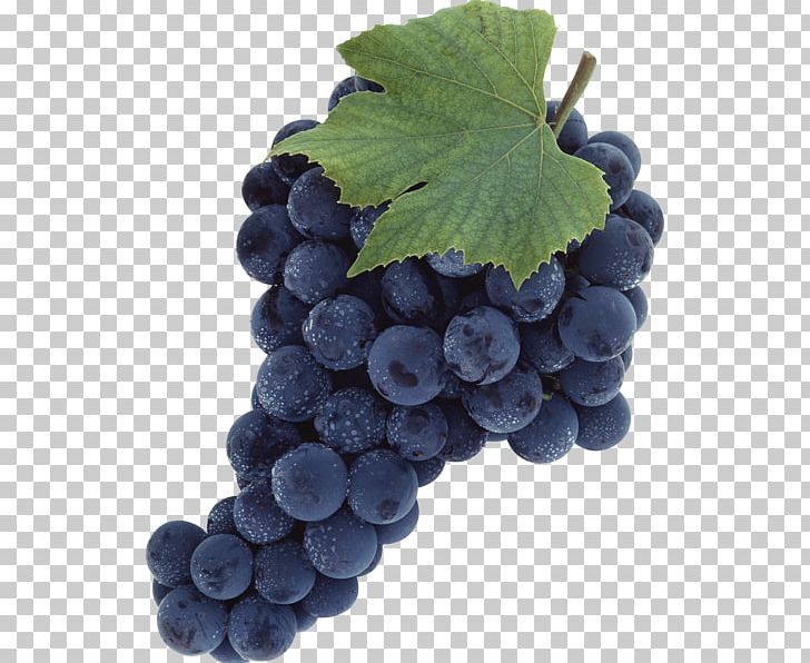 Common Grape Vine Wine PNG, Clipart, Berry, Bilberry, Blueberry, Common Grape Vine, Computer Icons Free PNG Download