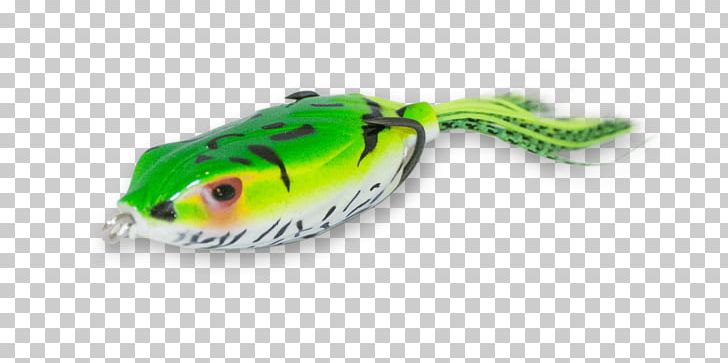 Fishing Baits & Lures Fish Hook Poppers PNG, Clipart, Amphibian, Bait, Environmental Working Group, Fish, Fish Hook Free PNG Download