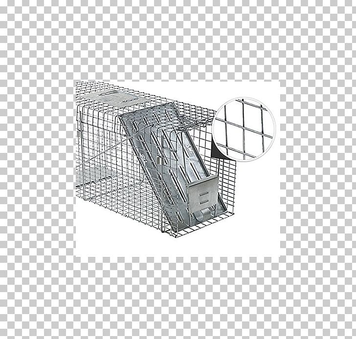 Raccoon Trapping Cage Squirrel PNG, Clipart, Angle, Animal, Animals, Animal Trap, Bathtub Free PNG Download