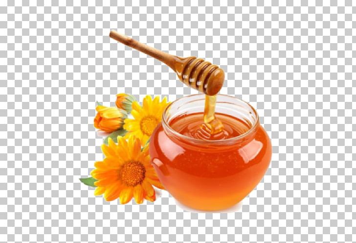 Honey Bee Food PNG, Clipart, Bal, Bee, Bee City, Child, Food Free PNG Download