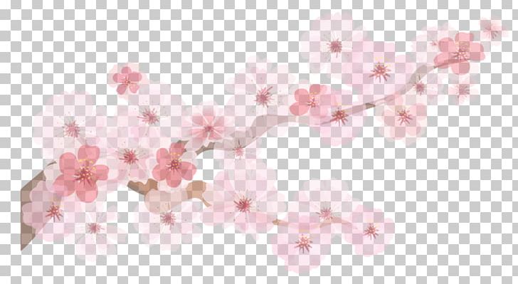 Paper Cherry Blossom PNG, Clipart, Blossom, Branches, Cherry, Christmas Decoration, Decorative Free PNG Download