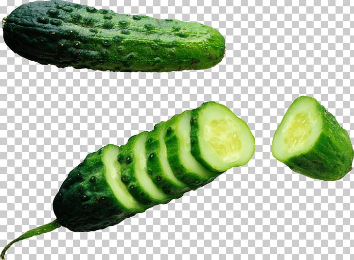 Cucumber PNG, Clipart, Bikinibody, Carbs, Cornichon, Cucumber Gourd And Melon Family, Cucumis Free PNG Download
