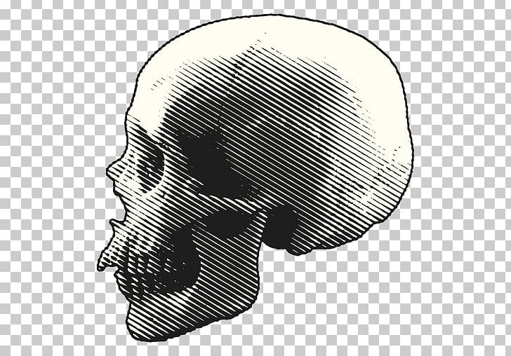 Skull PNG, Clipart, Black And White, Cartoon, Computer Icons, Drawing, Face Free PNG Download