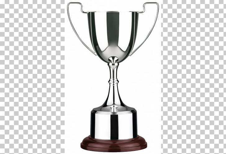 Trophy Award Cup Silver PNG, Clipart, Award, Clip Art, Commemorative Plaque, Competition, Cricket World Cup Trophy Free PNG Download