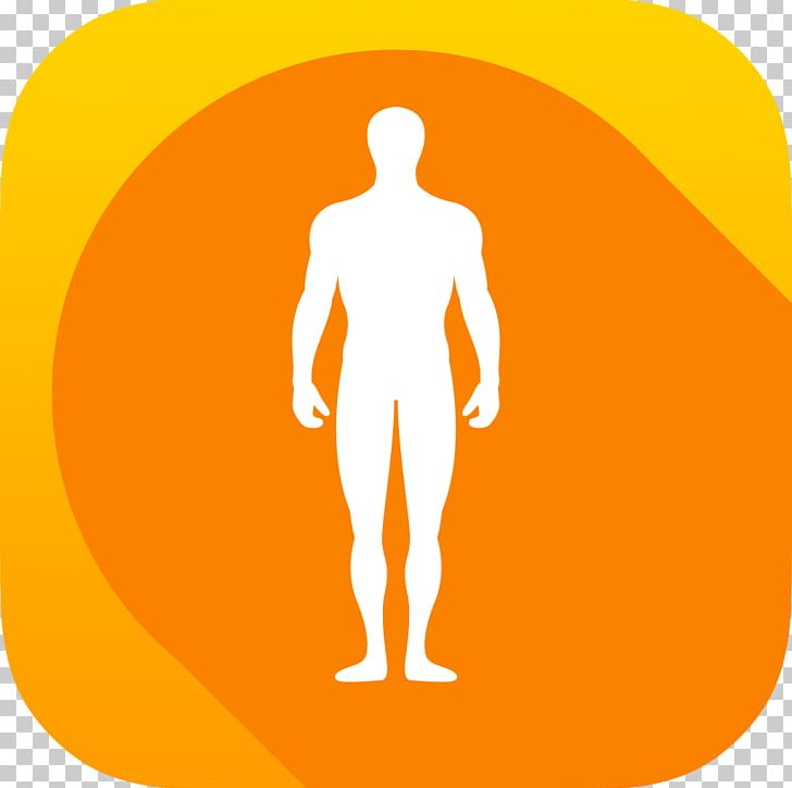 Shoulder Human Behavior Organism PNG, Clipart, Behavior, Birch, Bodybuilding, Body Transformation, Circle Free PNG Download