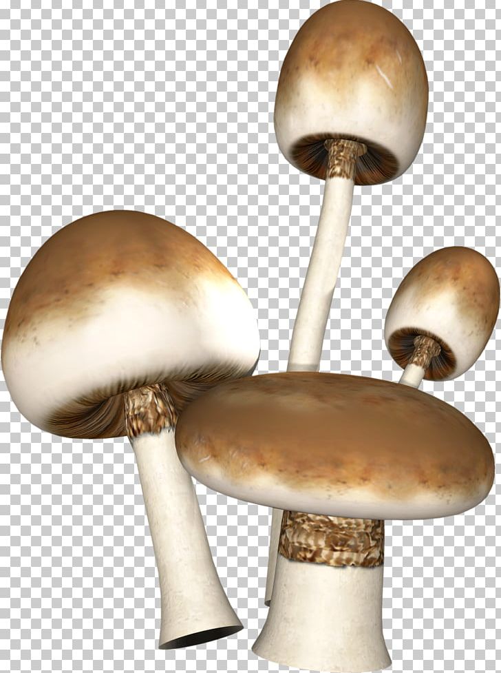 Mushroom PNG, Clipart, Champignon, Ingredient, Lamp, Light Fixture, Lighting Free PNG Download