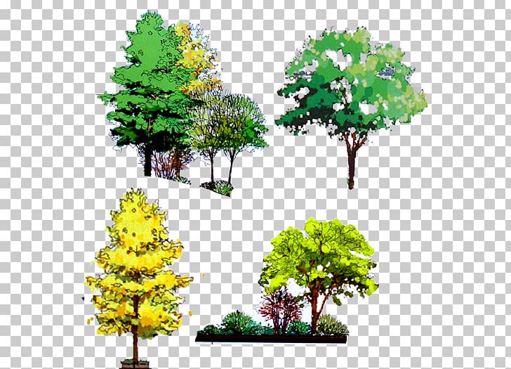 Tree Computer File PNG, Clipart, Arbor Day, Bonsai, Branch, Computer File, Decorative Free PNG Download