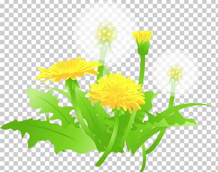 Vecteur PNG, Clipart, Annual Plant, Calendula, Chrysanthemum, Computer Icons, Cuadro Free PNG Download