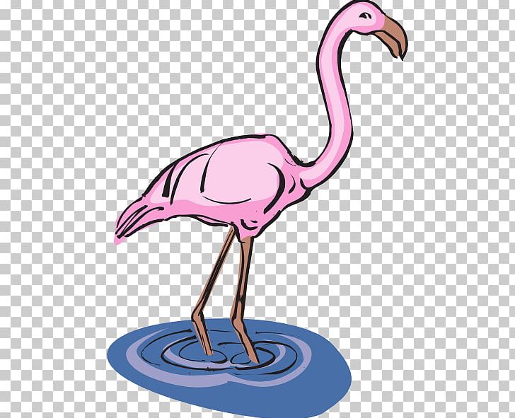 Flamingo Water Bird PNG, Clipart, Beak, Bird, Bird Water Cliparts, Flamenco, Flamingo Free PNG Download
