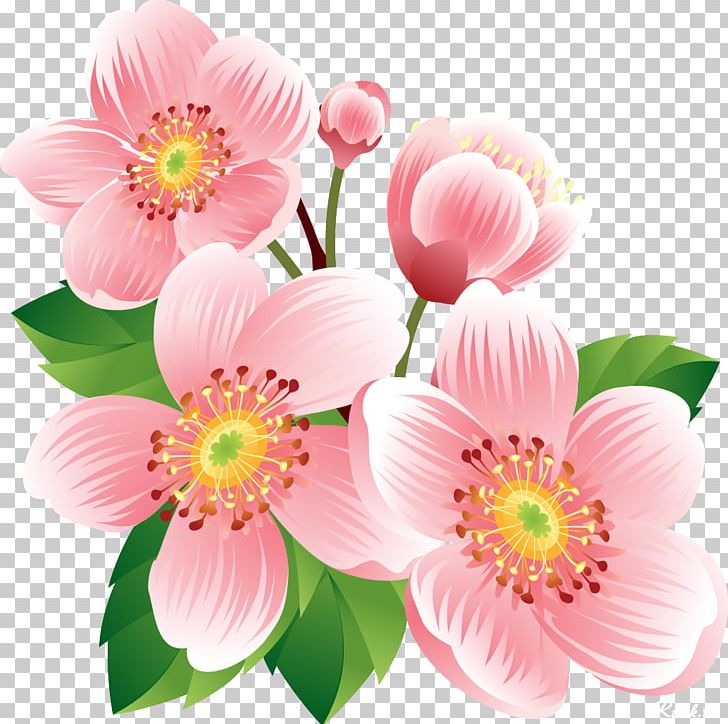 Flower Floral Design Illustration Graphics PNG, Clipart, Annual Plant, Art, Blossom, Cut Flowers, Daisy Family Free PNG Download