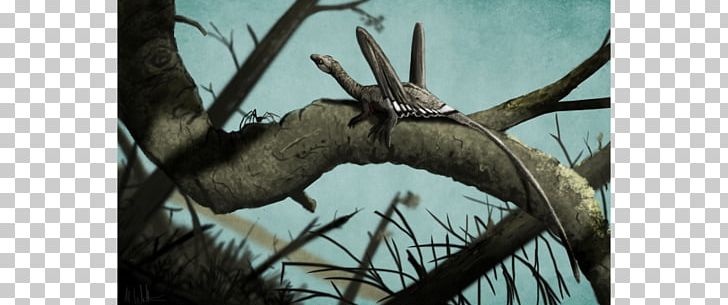 Spider Sharovipteryx Dinosaur Evolution Pterosaurs PNG, Clipart, Antler, Branch, Dinosaur, Eurypterid, Evolution Free PNG Download