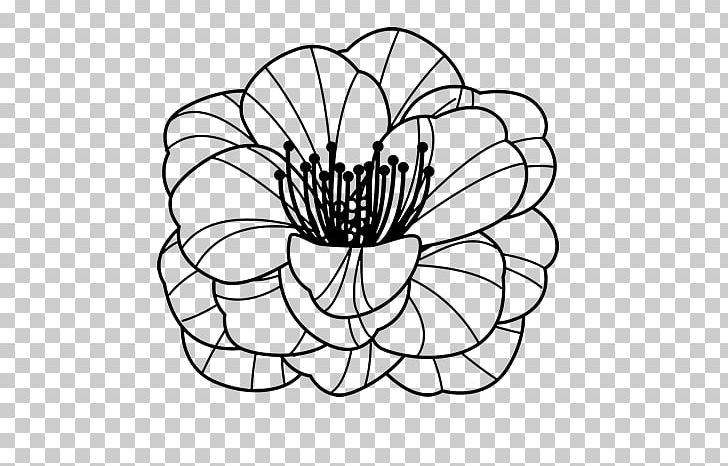 Common Poppy Coloring Book Flower Drawing PNG, Clipart, Area, Artwork, Black And White, Circle, Color Free PNG Download