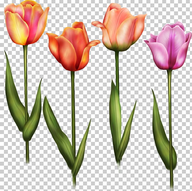 Flower Tulip Painting PNG, Clipart, Bud, Cut Flowers, Drawing, Flower, Flowering Plant Free PNG Download