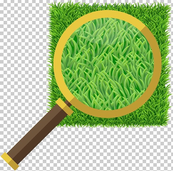 Jack's Turf Artificial Turf Lawn Synthetic Fiber Magnifying Glass PNG, Clipart, Artificial Turf, Family, Glass, Grass, Grasses Free PNG Download