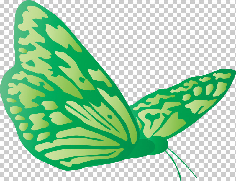 Butterfly PNG, Clipart, Animal Figure, Butterfly, Green, Insect, Leaf Free PNG Download