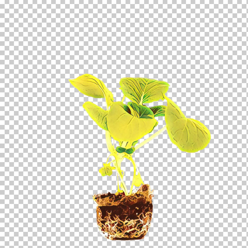 Flower Plant Yellow Flowerpot Houseplant PNG, Clipart, Anthurium, Flower, Flowerpot, Houseplant, Nepenthes Free PNG Download