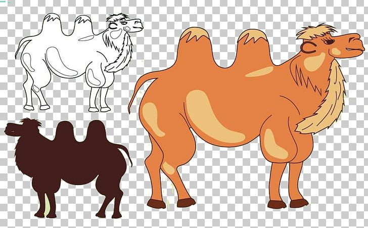 Camel Silhouette Illustration PNG, Clipart, Animal, Animals, Back On The Mountain, Business Team, Camel Free PNG Download