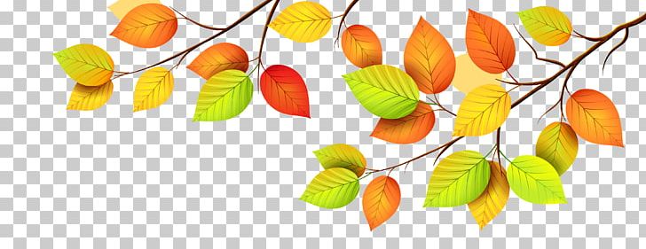 Autumn Leaf Color PNG, Clipart, Autumn, Autumn Leaf Color, Branch, Color, Drawing Free PNG Download