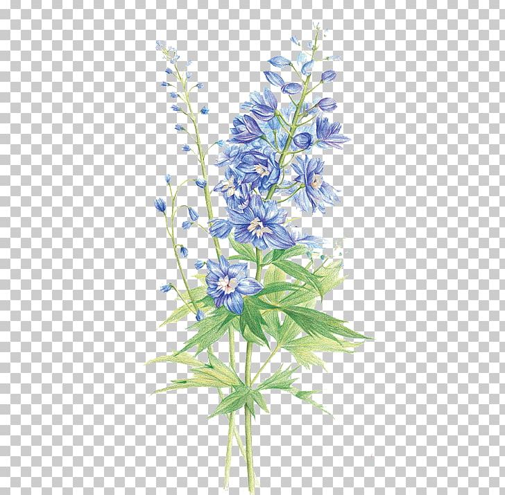 Hyacinthus Orientalis Floral Design Flower Purple PNG, Clipart, Color, Encapsulated Postscript, Flower Arranging, Larkspur, Lavender Free PNG Download