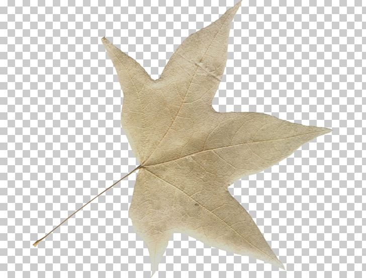 Leaf Autumn The Register BP PNG, Clipart, Autumn, Blogger, Default, Faq, Leaf Free PNG Download