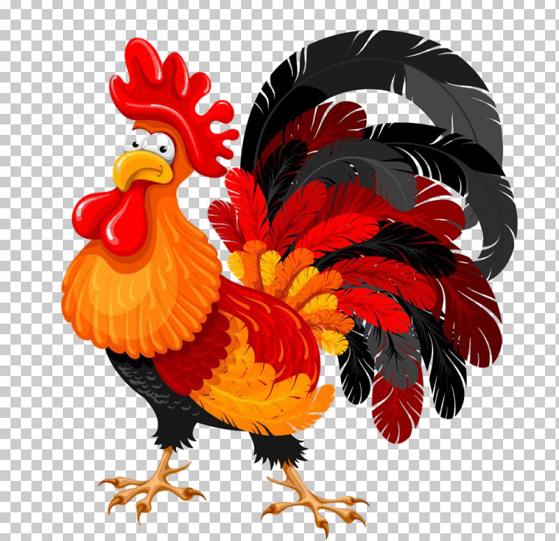 Chicken Rooster Bird Comb Livestock PNG, Clipart, Beak, Bird, Chicken, Comb, Fowl Free PNG Download