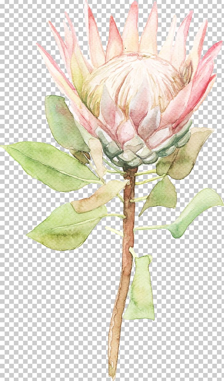 Watercolor Painting Flower PNG, Clipart, Floral Design, Floristry, Flower Arranging, Flowers, Flower Vector Free PNG Download