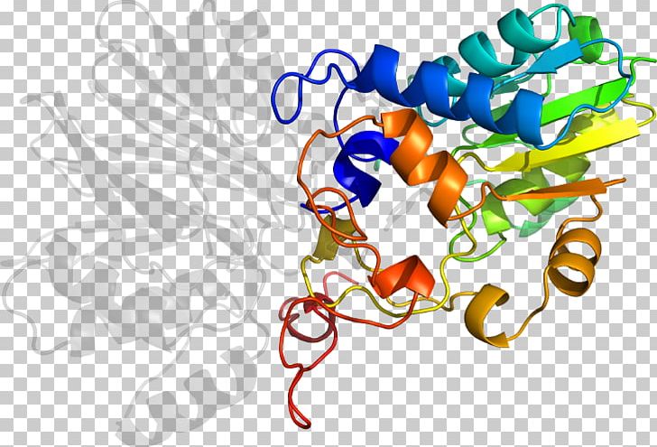 Graphic Design PNG, Clipart, Area, Art, Artwork, Food, Glutamine Amidotransferase Free PNG Download