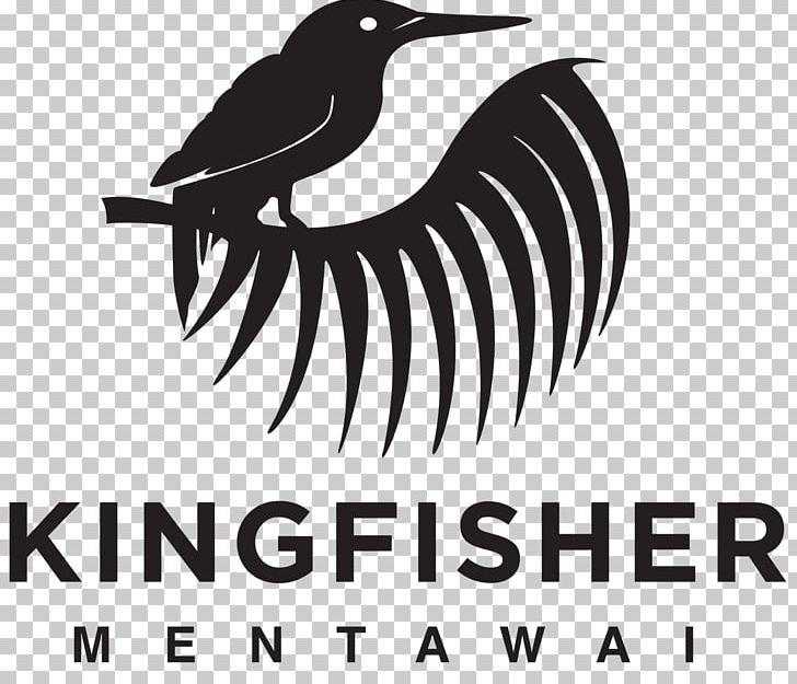 Logo Bird Beak Kingfisher Mentawai Resort Surfing PNG, Clipart, Animals, Artwork, Beak, Bird, Black And White Free PNG Download
