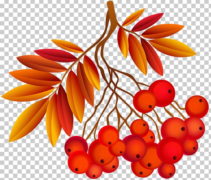 Autumn Southern Hemisphere Northern Hemisphere Season September Equinox PNG, Clipart, Animation, Art, Autumn, Autumn Leaf, Clipart Free PNG Download