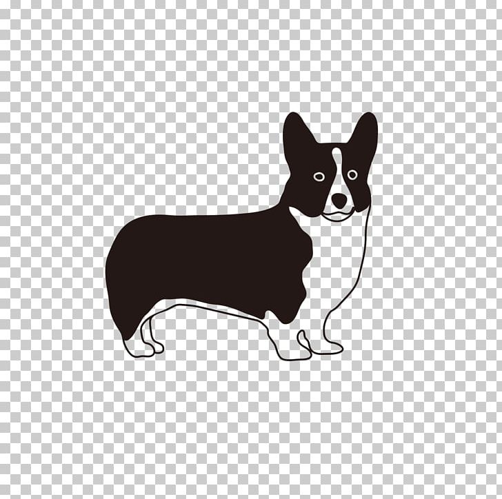 Chihuahua Pembroke Welsh Corgi Puppy Companion Dog Dog Breed PNG, Clipart, Animals, Black, Black And White, Breed, Carnivoran Free PNG Download