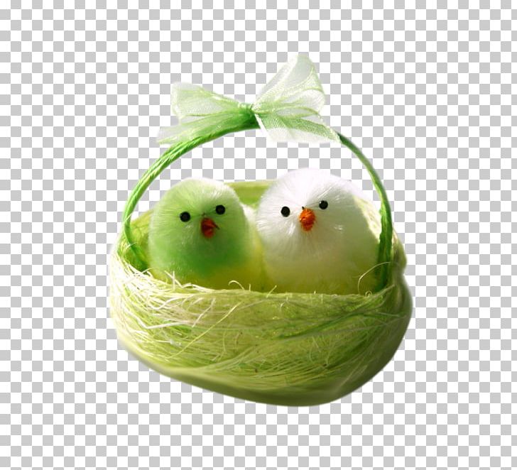 Easter PNG, Clipart, Animals, Author, Basket, Basket Of Apples, Chick Free PNG Download