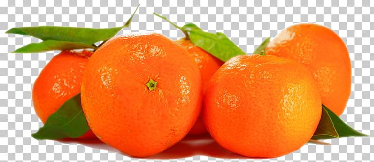 Tomato Portable Network Graphics Organic Food Orange Tangerine PNG, Clipart, Citrus, Desktop Wallpaper, Eating, Food, Fruit Free PNG Download