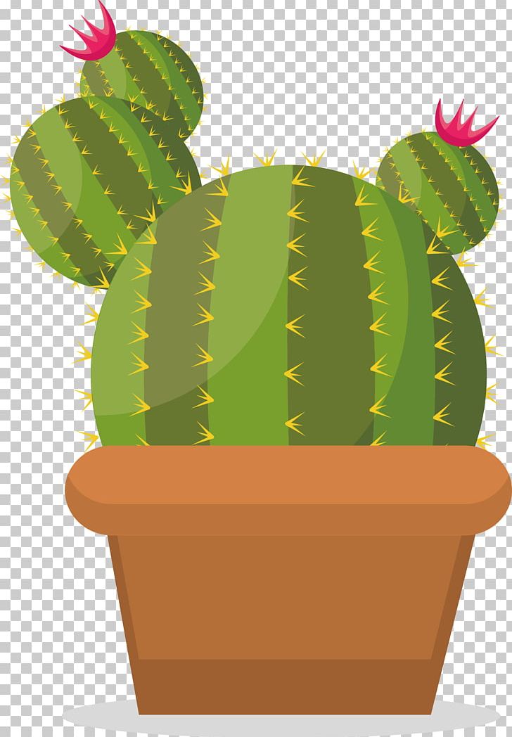 Prickly Pear Cactaceae PNG, Clipart, Background Green, Cactus, Cactus Vector, Caryophyllales, Designer Free PNG Download