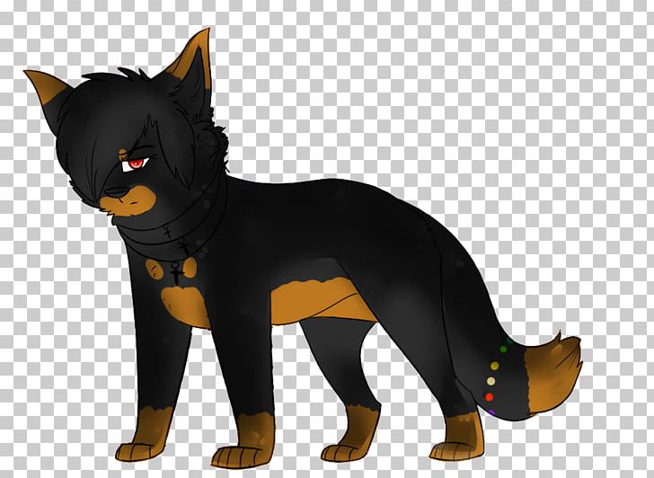 Australian Kelpie Cat Whiskers Bernese Mountain Dog Dog Breed PNG, Clipart, Animal, Animals, Australian Kelpie, Bernese Mountain Dog, Breed Free PNG Download