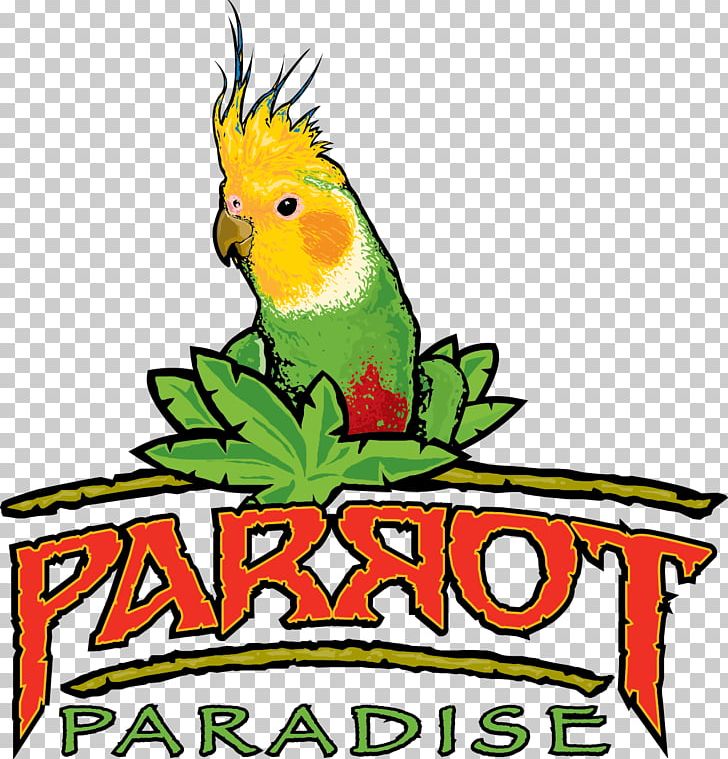 Parrot Bird Parakeet Macaw Pet PNG, Clipart, Animal, Animals, Artwork, Beak, Bird Free PNG Download
