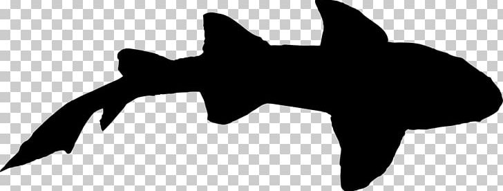 Shark Silhouette PNG, Clipart, Black, Black And White, Carcharhinus Amblyrhynchos, Clip Art, Desktop Wallpaper Free PNG Download