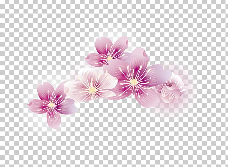 Cherry Blossom Stick Baseball Petal PNG, Clipart, Animation, Baseball, Blossom, Blossoms, Blossom Vector Free PNG Download
