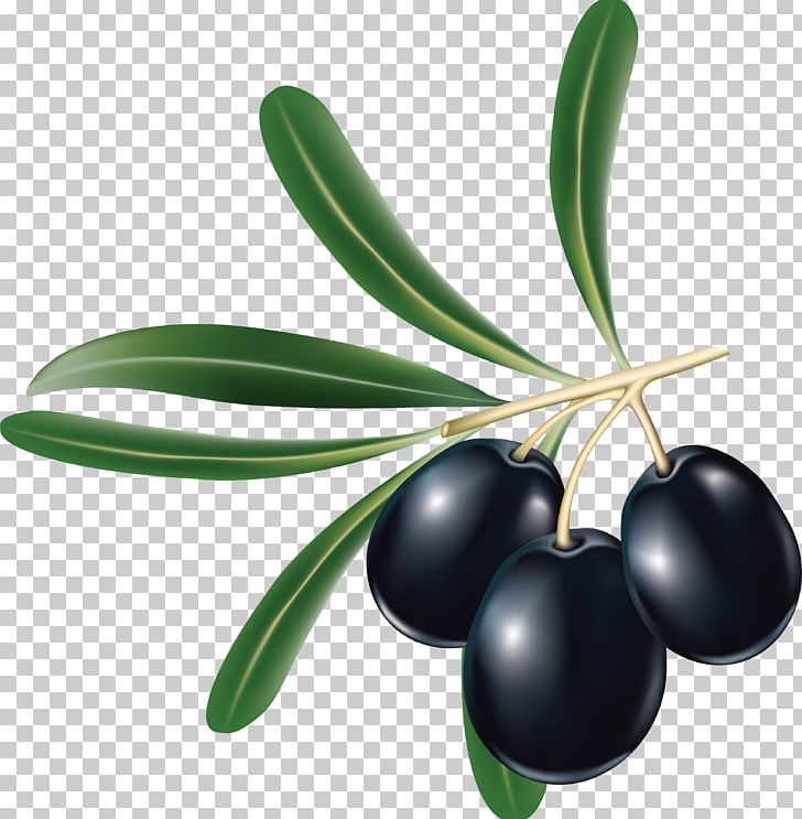 Tapenade Kalamata Olive Greek Cuisine Black Olive PNG, Clipart, Berry, Black Olive, Black Olives, Black Olives Png, Computer Icons Free PNG Download