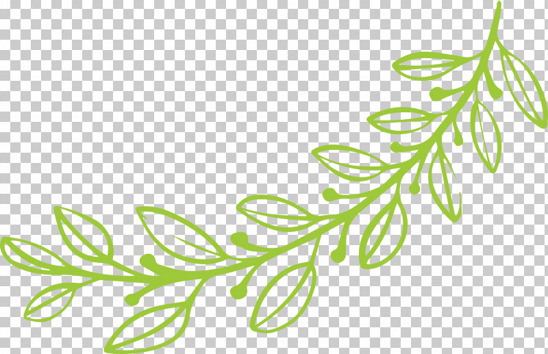 Leaf Drawing Step by Step 10 Simple Ways - Smiling Colors