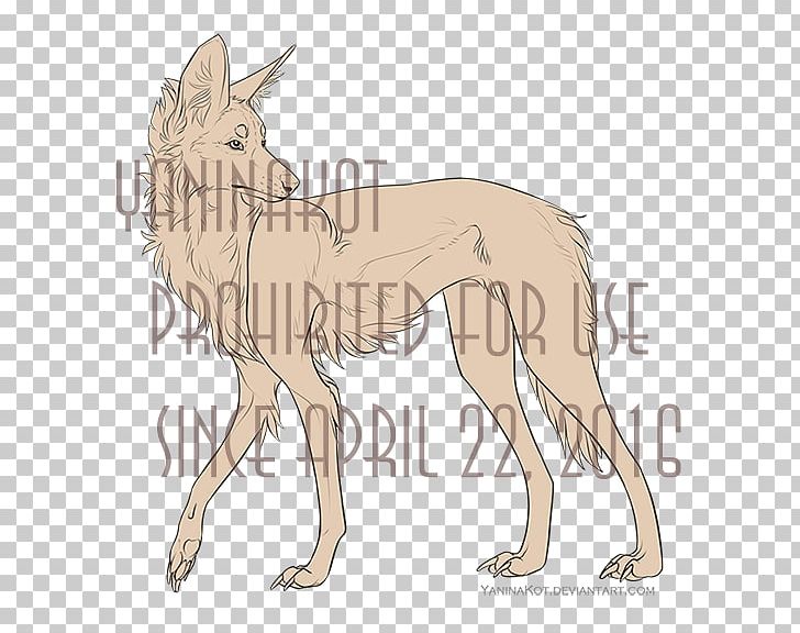 Dog Breed Maned Wolf Line Art PNG, Clipart, Animals, Art, Carnivoran, Cartoon, Deviantart Free PNG Download