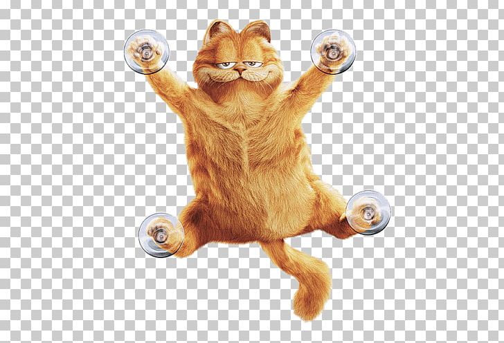 Garfield On A Window PNG, Clipart, At The Movies, Cartoons, Garfield Free PNG Download