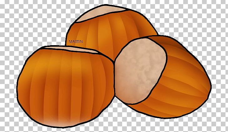 Hazelnut United States Tree Nut Allergy PNG, Clipart, Almond, Calabaza, Commodity, Cucurbita, Drawing Free PNG Download