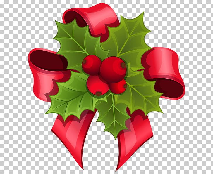 Mistletoe Phoradendron Tomentosum Santa Claus PNG, Clipart, Aquifoliaceae, Aquifoliales, Christmas, Christmas Decoration, Christmas Ornament Free PNG Download