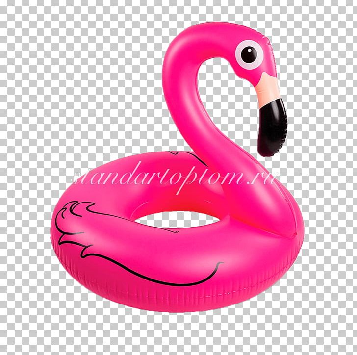 Swim Ring Inflatable Swimming Pools Flamingo Toy PNG, Clipart, Air Mattresses, Animals, Bird, Flamingo, Float Free PNG Download