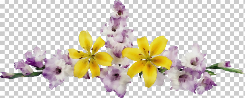 Lavender PNG, Clipart, Cut Flowers, Floral Line, Flower, Flower Background, Flower Border Free PNG Download