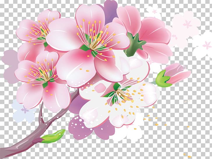 Cherry Blossom PNG, Clipart, Blossom, Branch, Cherry Blossom, Clip Art, Drawing Free PNG Download