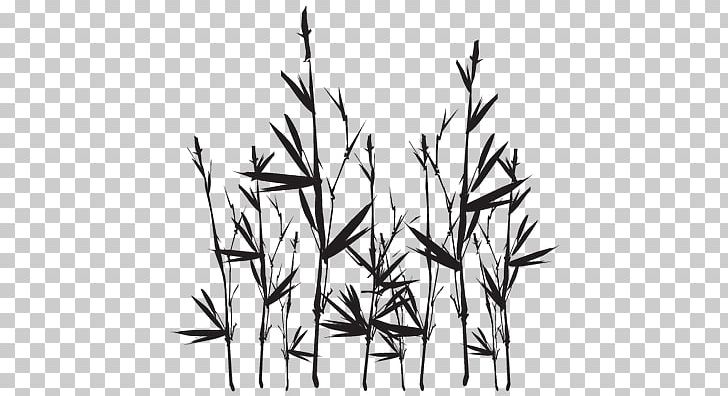 Line Art Tropical Woody Bamboos Silhouette PNG, Clipart, Animals, Autumn Background, Bamboo, Black And White, Branch Free PNG Download