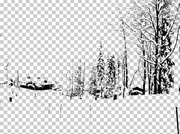 2014 Winter Olympics Sochi Olympic Games Line Art Drawing PNG, Clipart, 2014 Winter Olympics, Black And White, Branch, Conifer, Drawing Free PNG Download