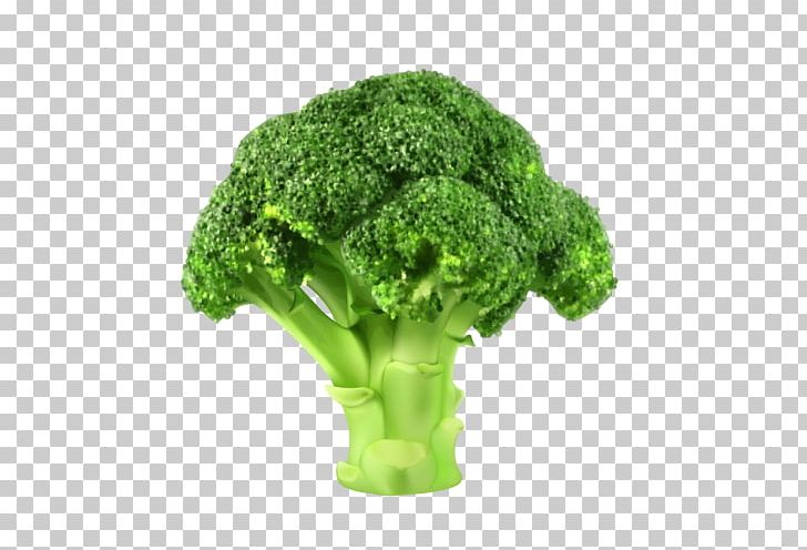 Broccoli Vegetable PNG, Clipart, Broccoli, Can Stock Photo, Clip Art, Computer Icons, Drawing Free PNG Download